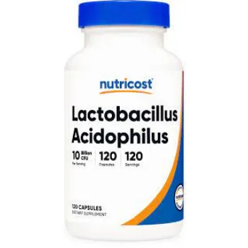Lactobacillus Acidophilus